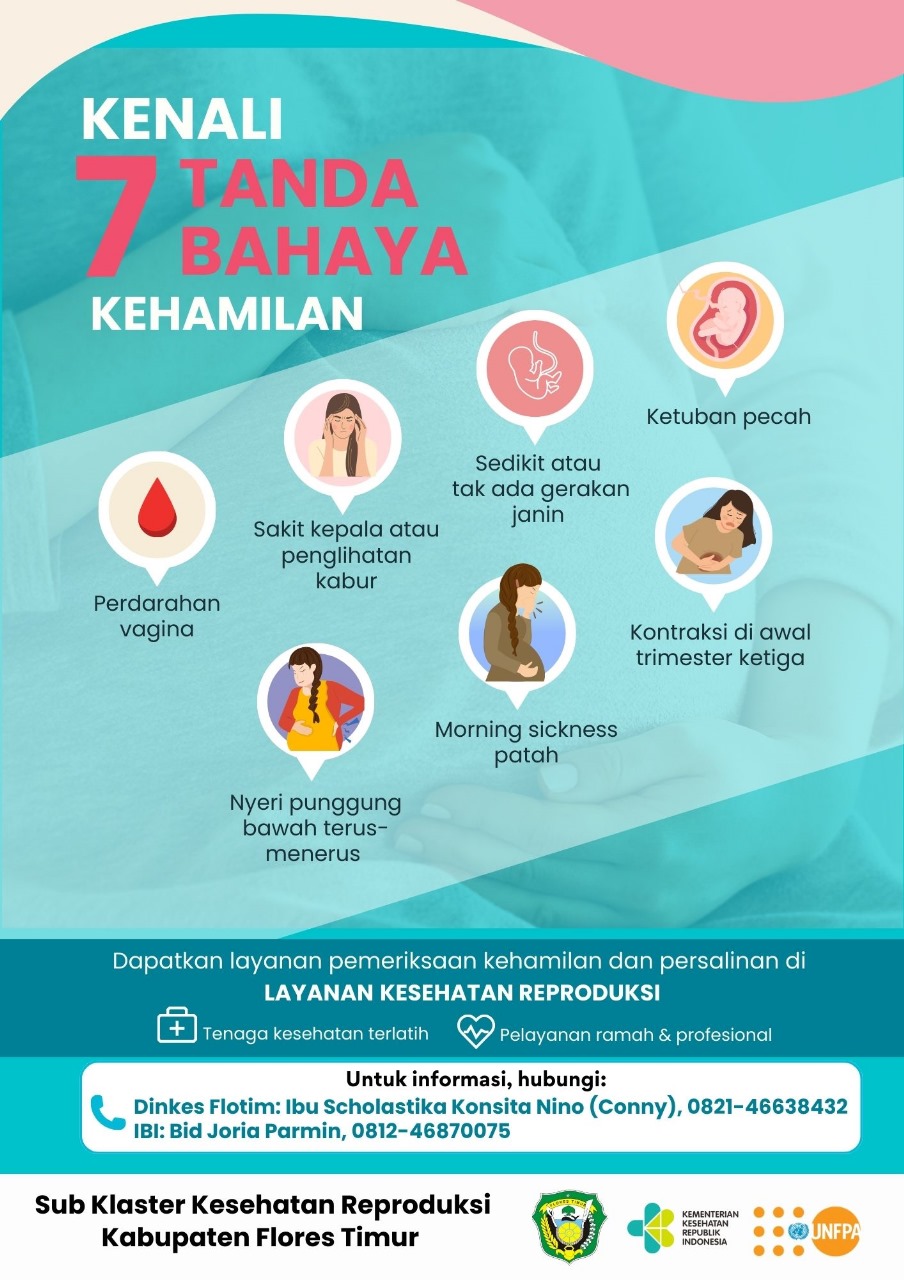 Infografis Kespro Flotim KTD2