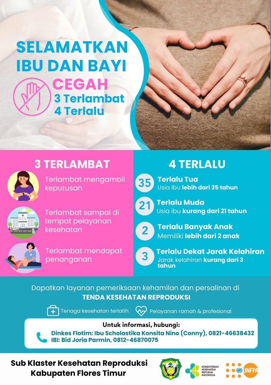 Infografis Kespro Flotim Matneo